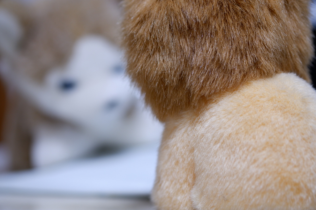 XF60mm F2.4  テスト(1)