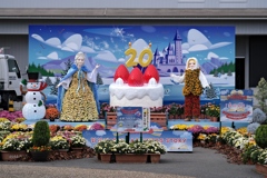 冬の積雪どうかお手柔らかに