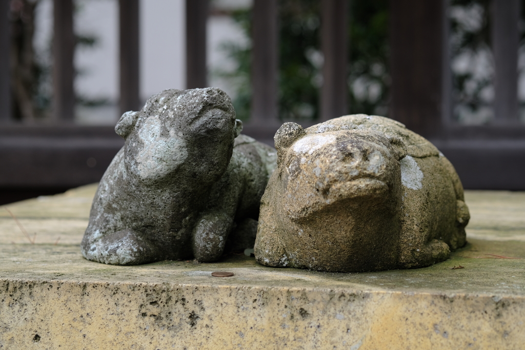 何かお忘れじゃありませんか