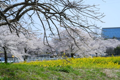三者三様のやり方で