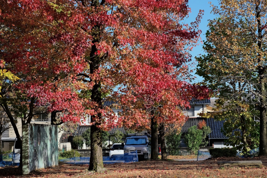 落とし物は交番に届きますか