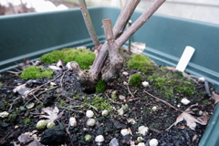 いろんな住人と空へと広がる世界 いろんな住人と空へと広がる世界