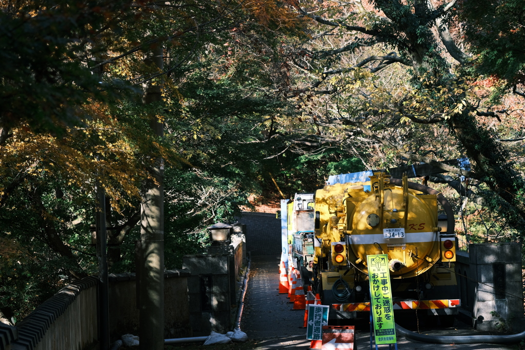 華やか不足は俺のボディで補うぜ