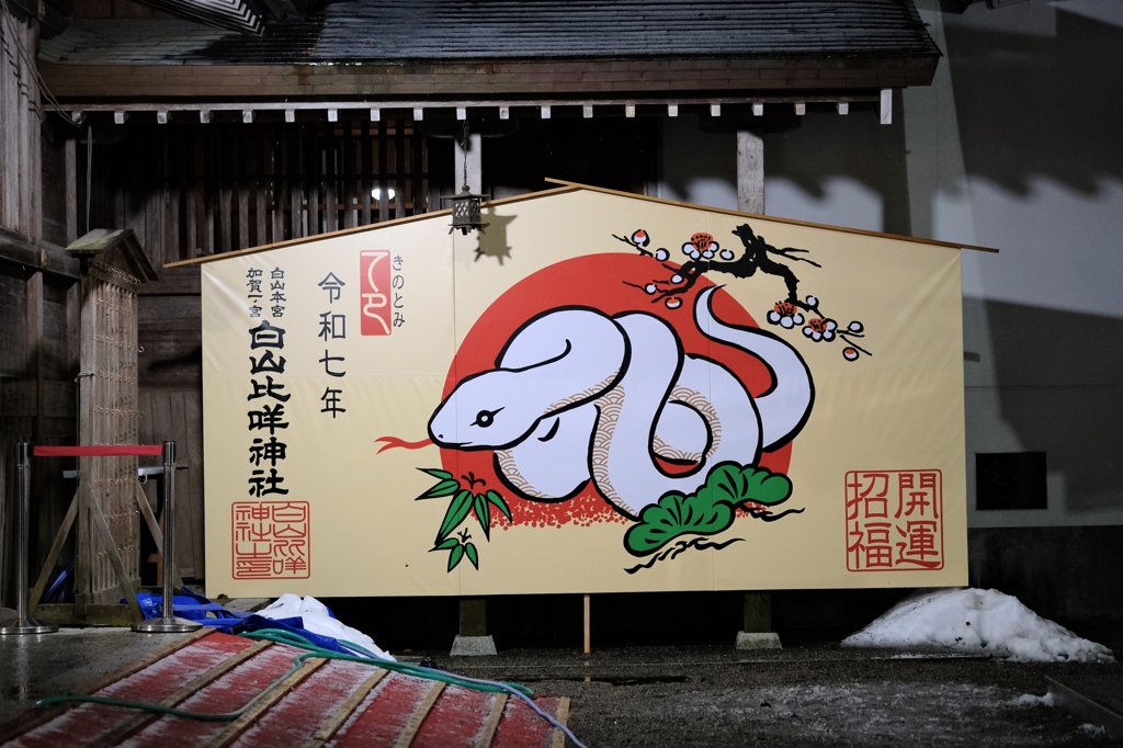 遅ればせながら新年のご挨拶