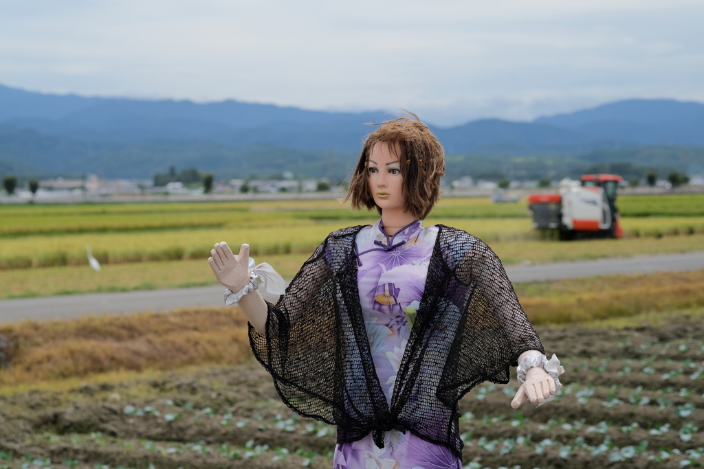 いつでもお洒落を楽しみます