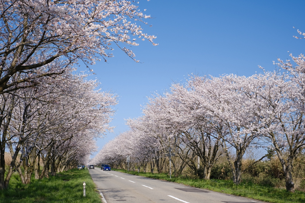 流れる景色が気持ち良くて