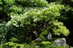その世界の境界線は誰が引く