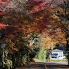 屋根のないバスが欲しくなる