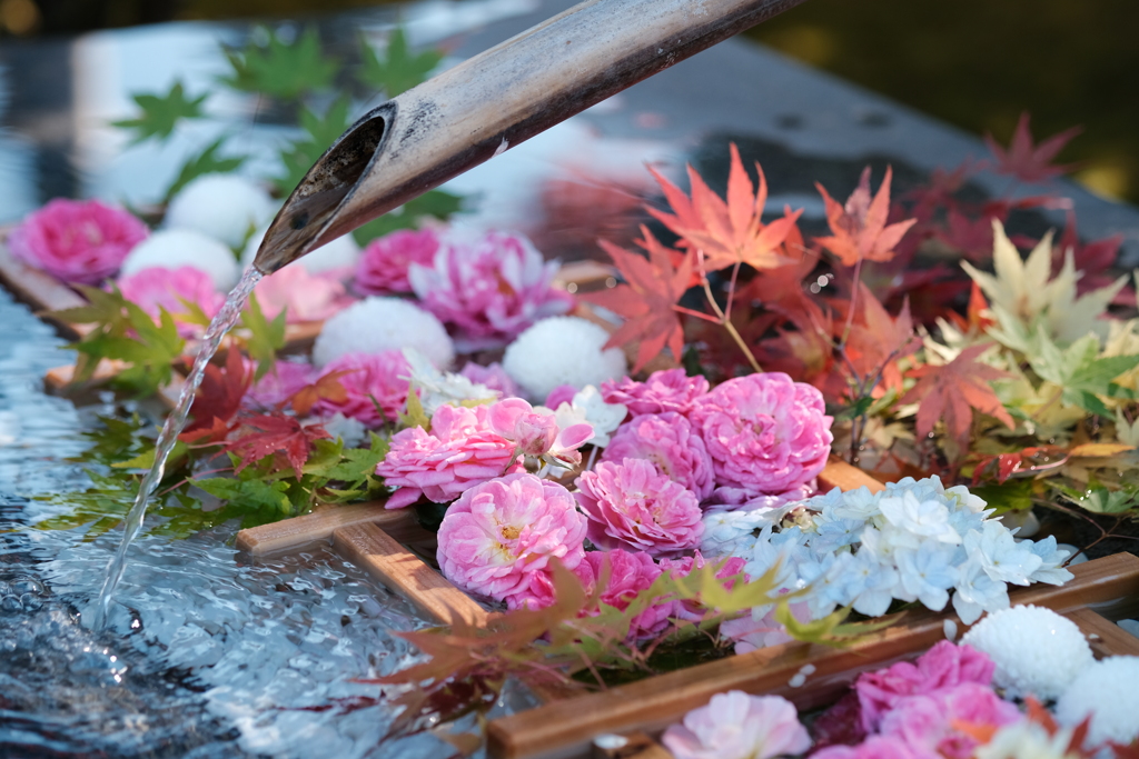 寂しさ覚える秋の花手水