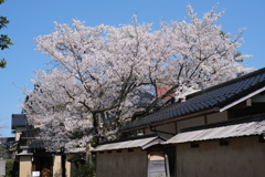 ちょっと庭が手狭じゃのう