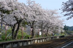 お待ちかねの電車が来ますよ