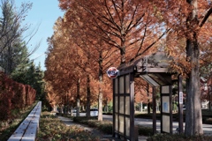 もう少しだけが危険なんです