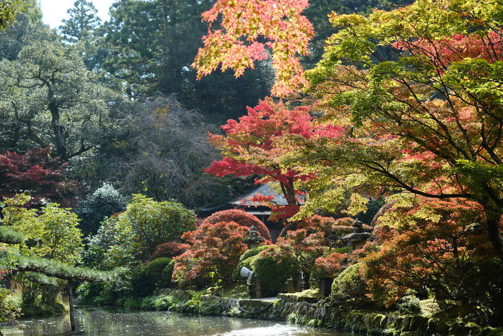 参道から外れた景観も素敵です