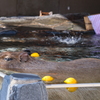 ふぃーっいい湯だな♪ いい湯だな♪♪
