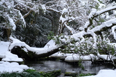 雪の精さん団体で泊まったら