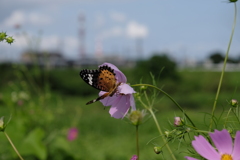 ふんぬおおおぉっー！！