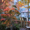 紅葉に移りゆく季節を感じて