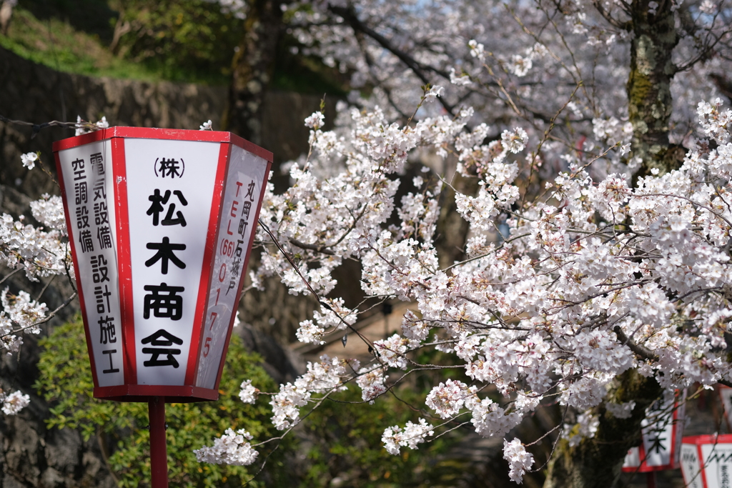 カメラは宣伝も捉えます