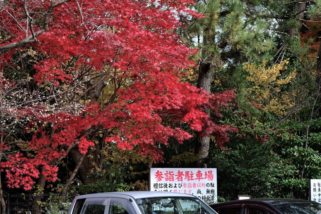 心と身体の駐車場が必要です