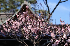 やや肌寒い春の息吹を感じて