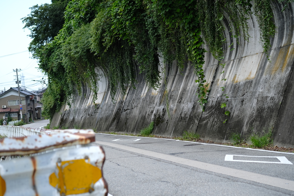 そのウィッグお似合いですね