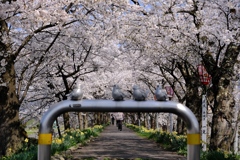 君が見ている景色の仲間入り