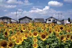 夏休み明けの教室みたいです