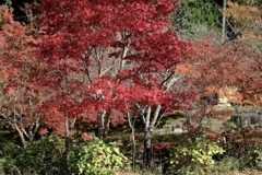 始まる紅葉の風景に心も躍る