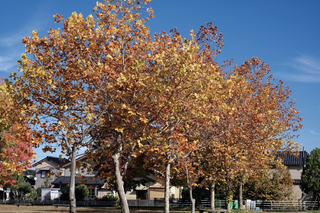 鉄壁のガードではありません