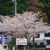 ボクの前に立たないでよ