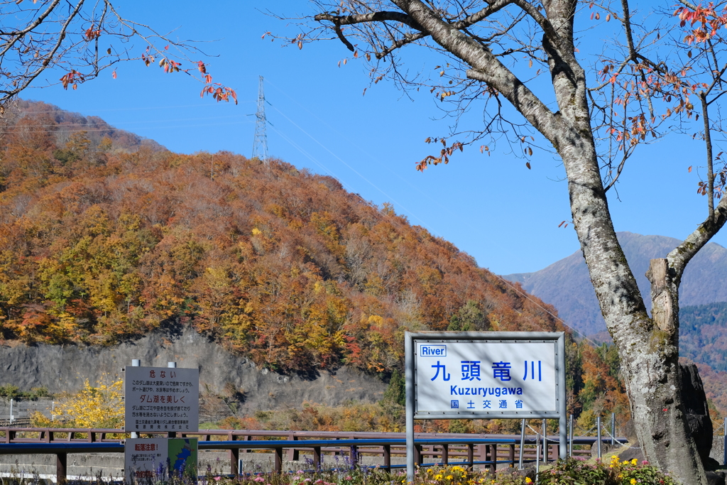 ダムは雨粒さんたちの宿場町