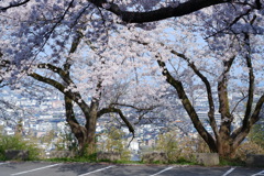 いろんな私を見せてあげる いろんな私を見せてあげる