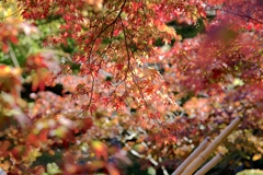 太陽さんは主役を彩る演出家