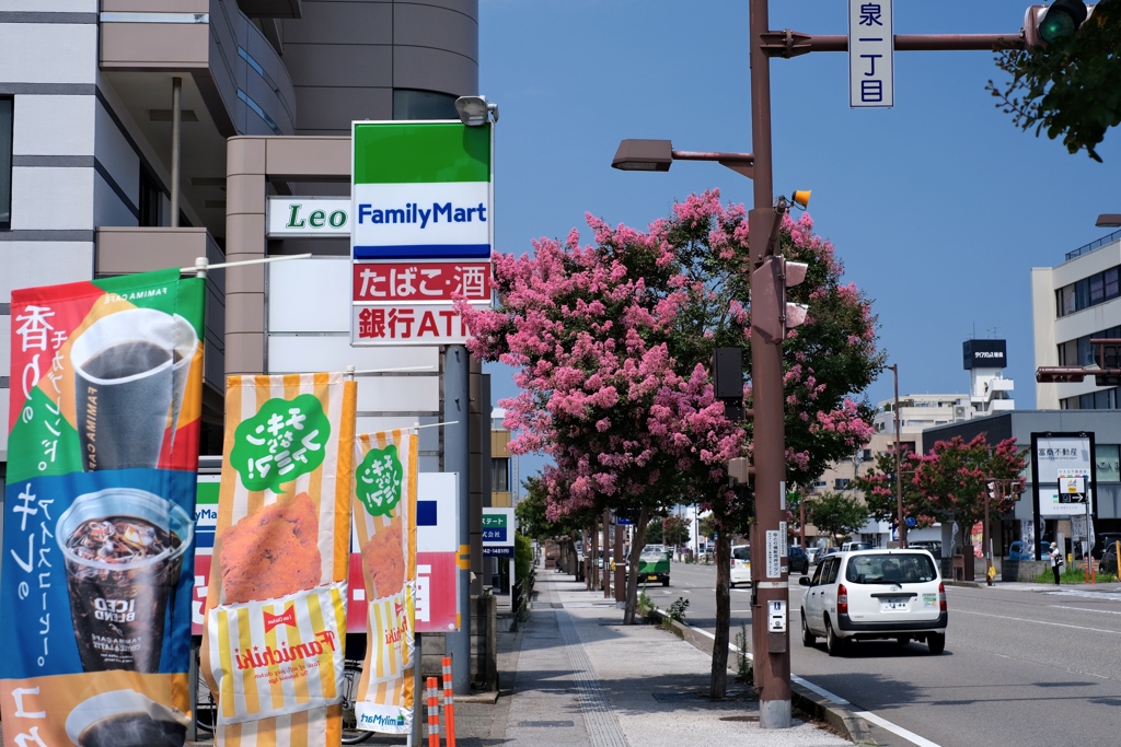 アピール合戦に負けそうです