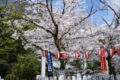 鳥居の門番やってます