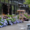 紫陽花眺めて楽しいお茶会を