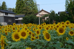 ただいま会議が紛糾しています