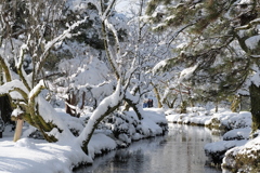 白化粧はお気に召しませんか