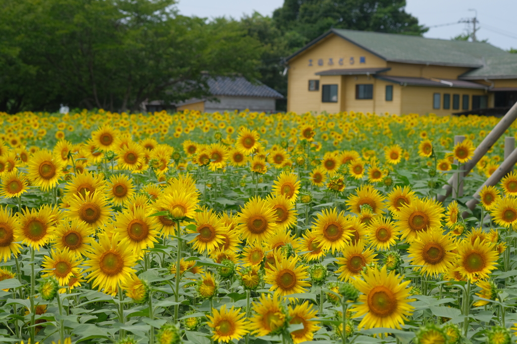 もうちょっと待っててね