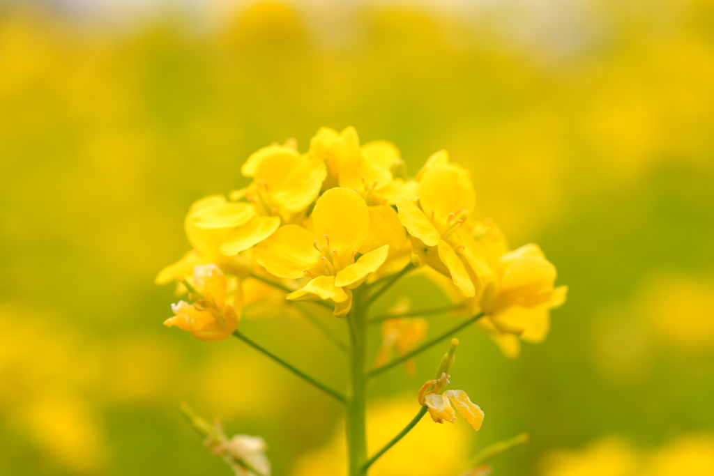 XF16-80mm テスト(1)