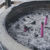 近所のお寺さん