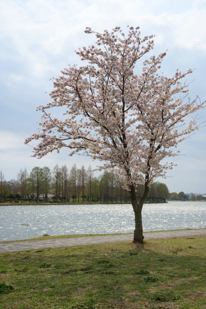 一瞬の晴れ間