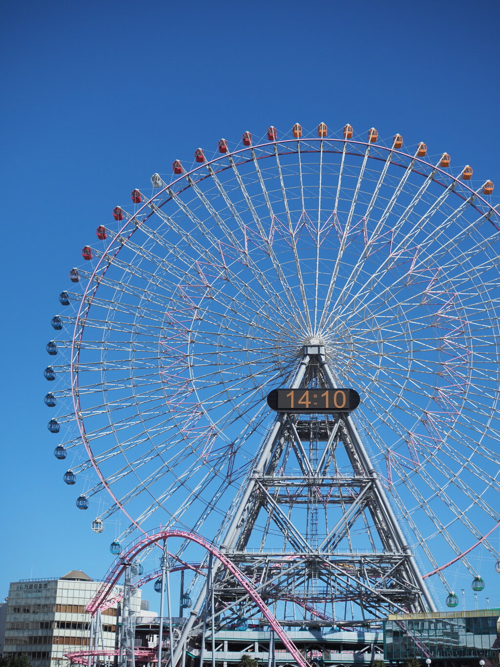 大きいなぁ