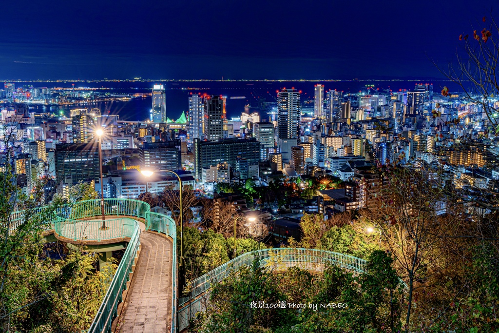日本の夜景100選No.45 ビーナスブリッジ