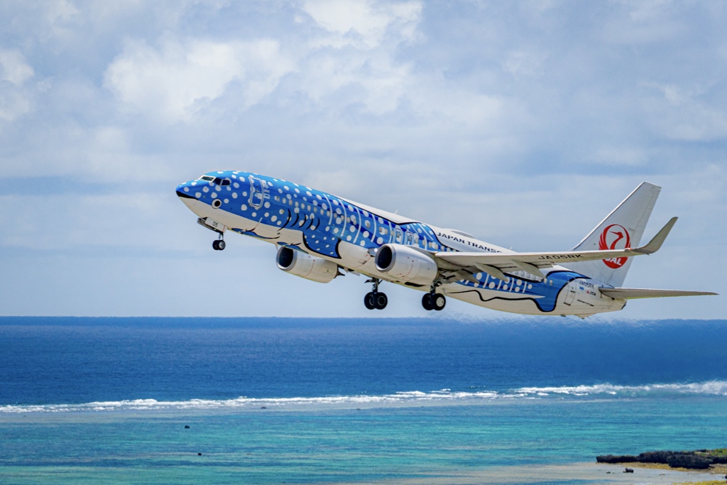 カーラ岳麓から石垣空港を眺める③