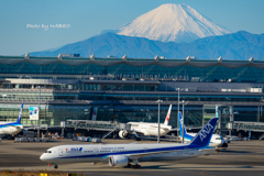 久しぶりに飛行機