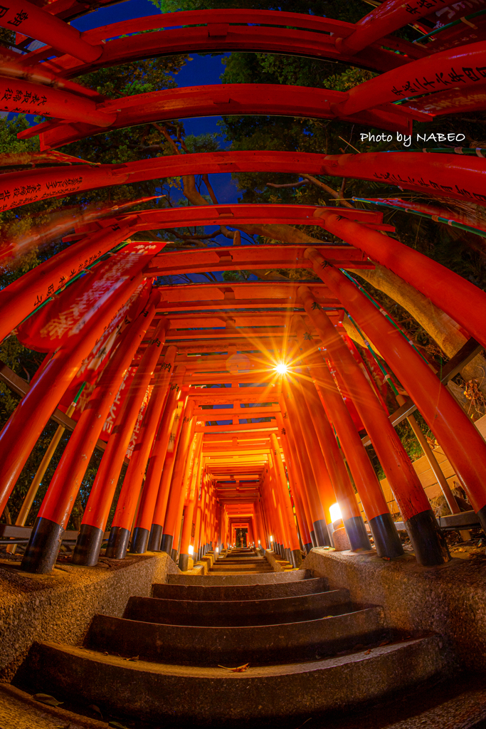 山王日枝神社　千本鳥居