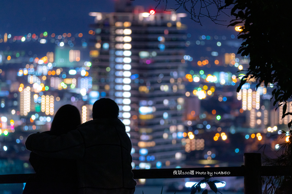 日本の夜景100選No.49 花岡山①