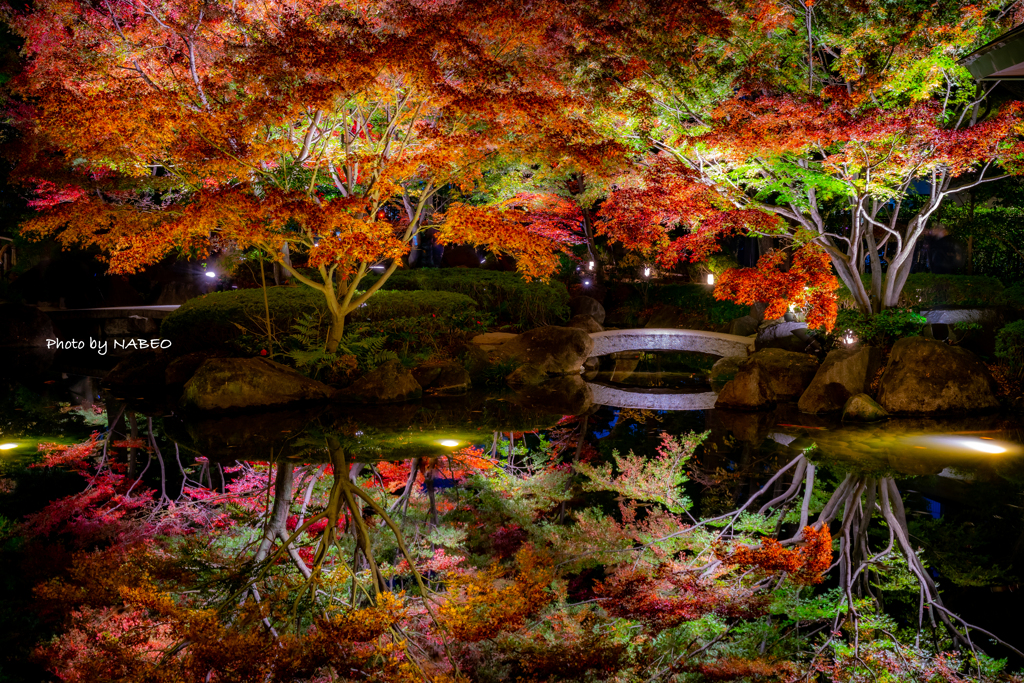 大田黒公園紅葉ライトアップ③