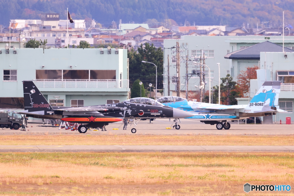 アグレッサー40th 記念塗装